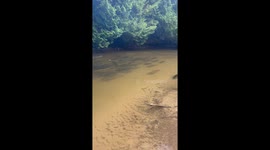 One fisherman asks another if this is a good spot to fish while 20-30 pound fish swim around their feet