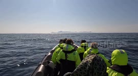 Whale Safari Andenes Lofoten Norway, discover the sea around the city of Andenes Norway