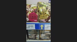 Shelves Packed with Kopi Luwak Coffee in Indonesian Store