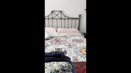 Sweet Baby Asleep in Mommy’s Bed