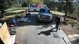 Love Story Between My Dog and the FedEx Man