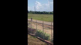 Young Bicycle Rider Crashes Into Closed Gate