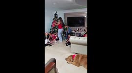Golden Retriever Loves His Christmas Present