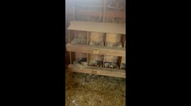 Nap Interrupted on a Full Belly