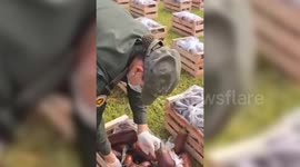 Argentina’s National Gendarmerie seizes nearly 31 kilograms of cocaine in Salta