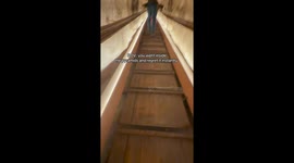 'I'm going back': Claustrophobic tourist instantly regrets climbing inside Pyramid tunnel
