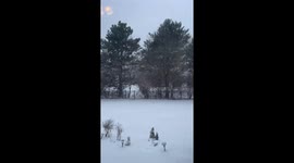 US: Heavy Snow Squall Drops Visibility in Chicago, Winter Weather Alerts in Effect 2