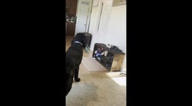 Kids surprised with a new puppy at home in Columbus, Ohio, USA