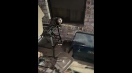 Defensive opossum hisses during late-night patio encounter in Louisiana, USA