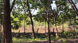 Soldier injured while clearing unexploded shells along Thai-Cambodian border