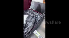 Israel: Police Seize 152 Flares Intended for Tel Aviv Football Derby at Ben Gurion Airport