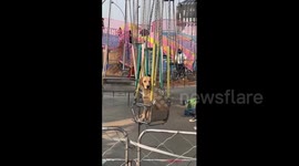 China: Golden retriever rides spinning swing ride at amusement park in China