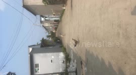 Vietnam: A dog jumps on a scooter quickly and professionally