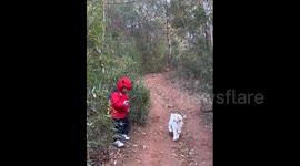 China: A Chinese child’s gentle conversation with a lamb on a mountain trail