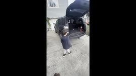 Bernese mountain dog finally obeys after hearing full name in viral PNW school‑run video