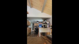 Kitten meows for backup before leaping into dad’s arms