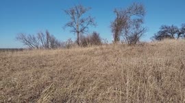 Fire On Highway 78?  Huge, Parched Land Beside Highway Threatens Wildfire Risk For Thousands Of Commuters