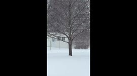 Canada: Heavy Snow Causes Widespread Disruptions in Southern Ontario