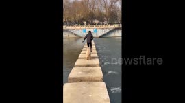 China: Chinese dog slips into river after losing focus on stepping stones