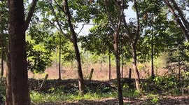 Soldier injured while clearing unexploded shells along Thai-Cambodian border