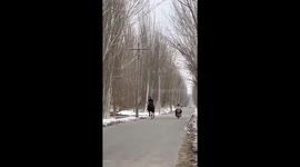 Horse racing against motorcycle in Xinjiang, China