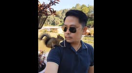 Curious Squirrel Climbs Man’s Shoulder for a Sweet Nose-to-Nose Moment