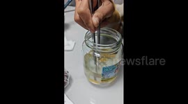 China: Chinese child uses clever chopstick trick to lift fruit from can