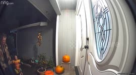 Big Chicken Startles Little Pizza