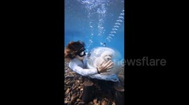 China: Chinese dog explores underwater world through diving capsule