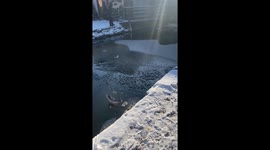 Man Trying To Grab Slippery Fish Falls Through Thin Ice