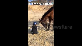 China: Chinese boy gets onto a horse by moving from its head to its back