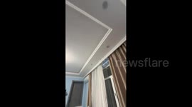 China: Chinese man in China spotted a giant flying squirrel on a hotel rooftop