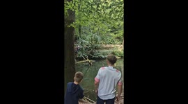 Ultimate Kids Rope Swing Challenge: Who Will Succeed? (Funny Fails Included!)