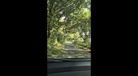 Escape to Bluebell Glamping Pods: Quarry Walk Park, Staffordshire!