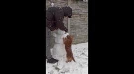 Owner builds snowman with dog watching in Nowa Sól, Poland