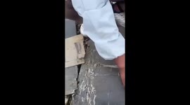 Plane goes missing with 11 onboard feared dead in Indonesia