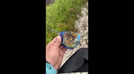 Indonesia plane crash debris found in mountains near suspected crash site