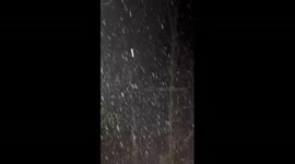 Heavy snowfall at high elevation in Roaring Creek, North Carolina, USA