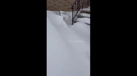 Yardstick shows deep lake-effect snowfall in Brooklyn, Ohio, USA