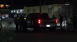 US, Phoenix: Phoenix ICE Headquarters Protest