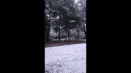 Snow blankets the area amid winter storm conditions in  Geneva, Alabama, USA