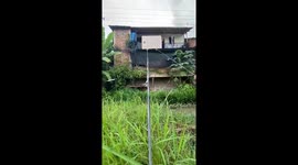 Hilarious moment DIY mattress 'zipline' ends in a soggy disaster