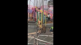 Golden retriever rides spinning swing ride at amusement park