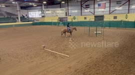 Horse riding training mishap in Fort Collins, Colorado, USA