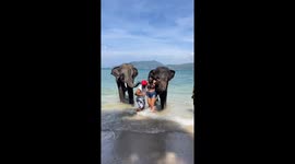 Playful elephant startles tourist during photo session in Koh Chang, Thailand