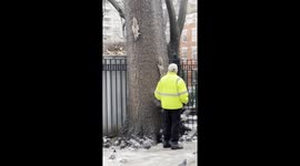 Park worker calmly feeding squirrels in Washington Square Park charms over 2 million viewers