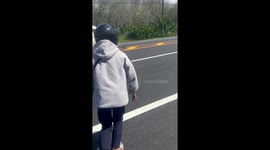 Hero motorcycle rider rescues injured bird stuck on busy road