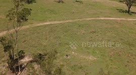 Teenager uses headphones to direct rescuers after fall from mountain in Australia