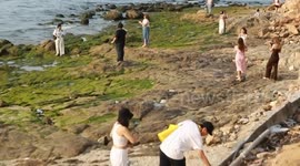 Slimy green algae leaves tourists baffled on Thai beach