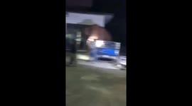 Ashes to ashes, tusk to tusk! Wild elephant causes chaos when it wanders into funeral